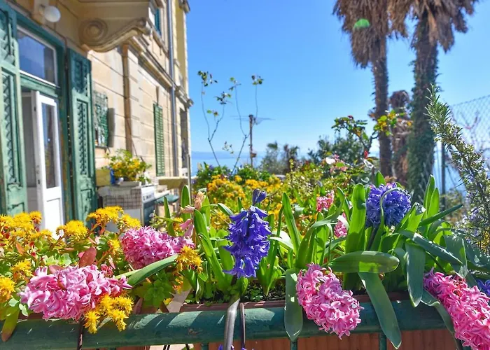 Apartament Beachfront Sonja -